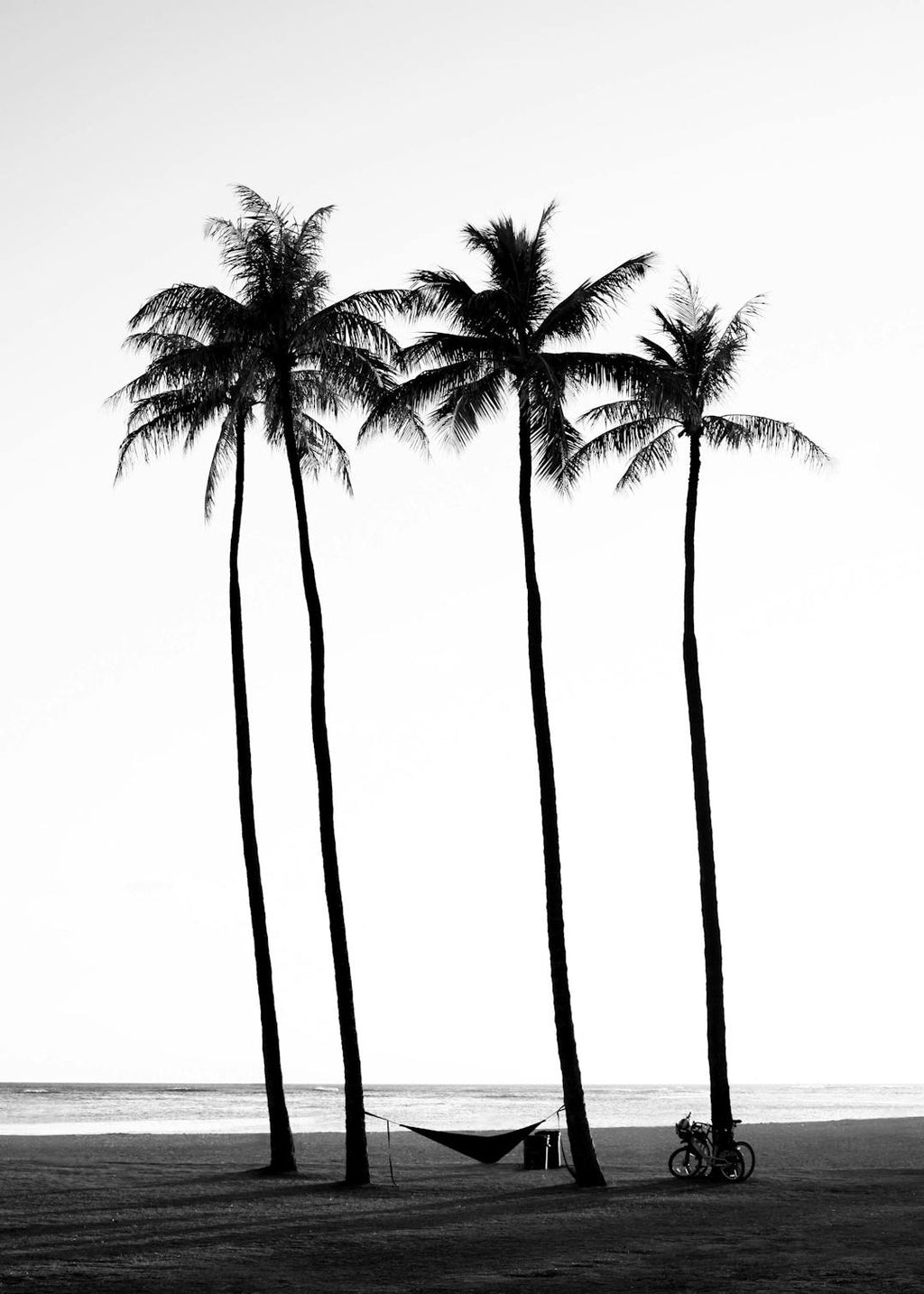 Affiche « Palmiers sur la plage »