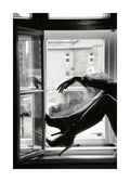 Sitting in the Window Affiche