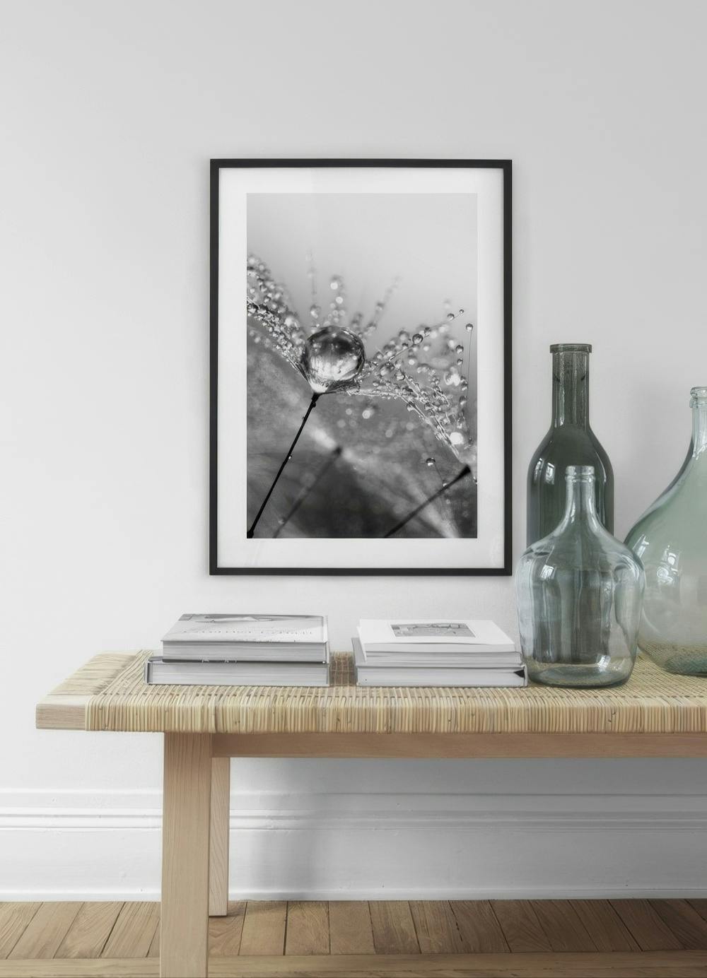 Affiche en noir et blanc d’un pissenlit avec une grosse goutte d’eau, exposée au-dessus d’un banc en bois.