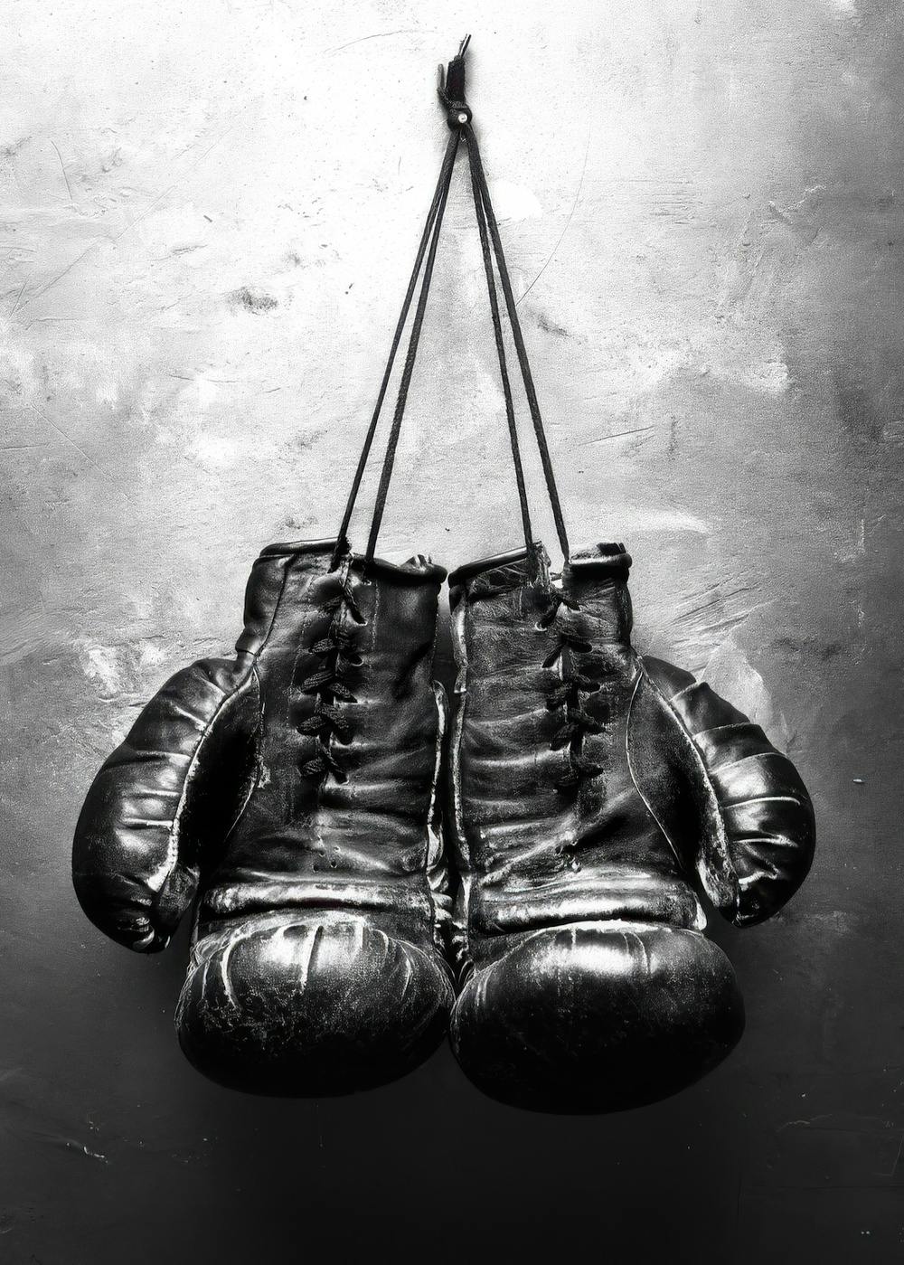 Boxer, Affiche