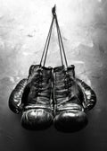 Boxer, Affiche