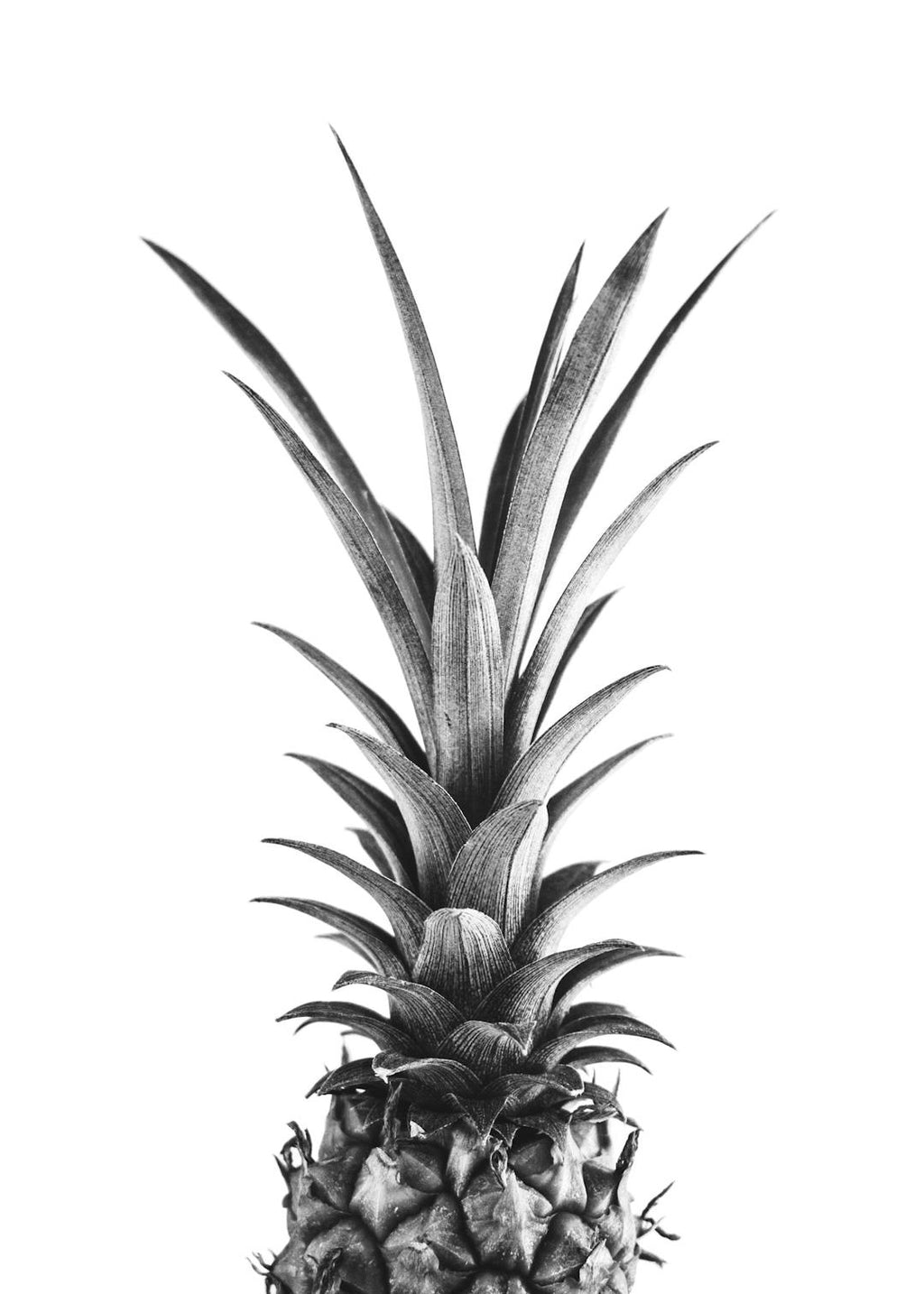 Affiche dun ananas en noir et blanc, photographié de haut sur fond blanc, style minimaliste.