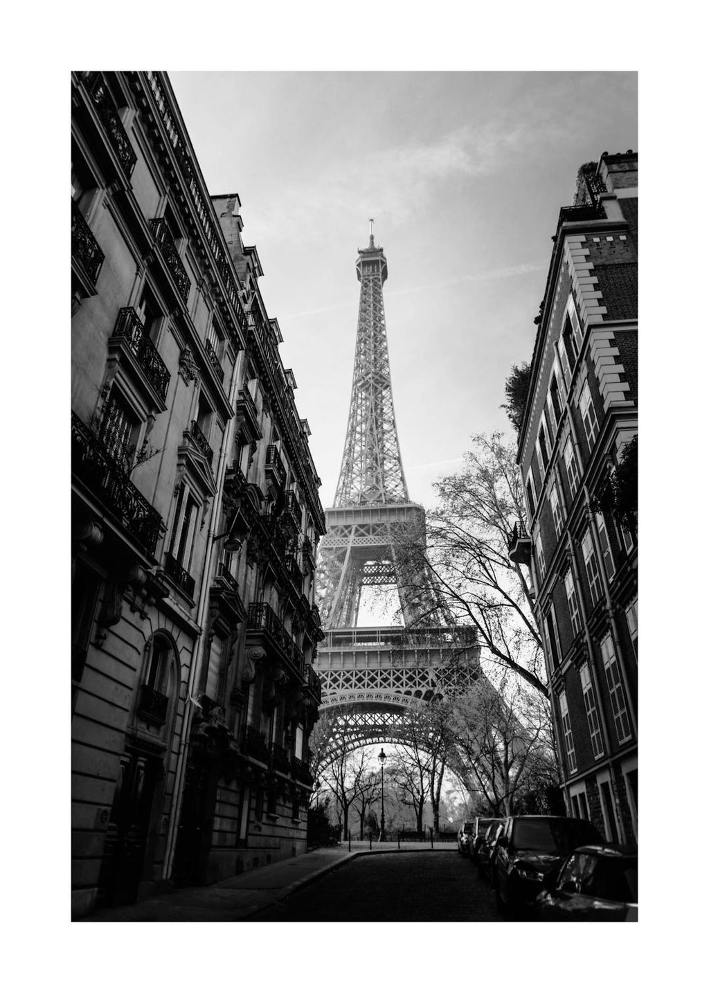 Affiche noir et blanc de la Tour Eiffel à Paris, visible entre deux rangées de bâtiments haussmanniens avec des arbres.