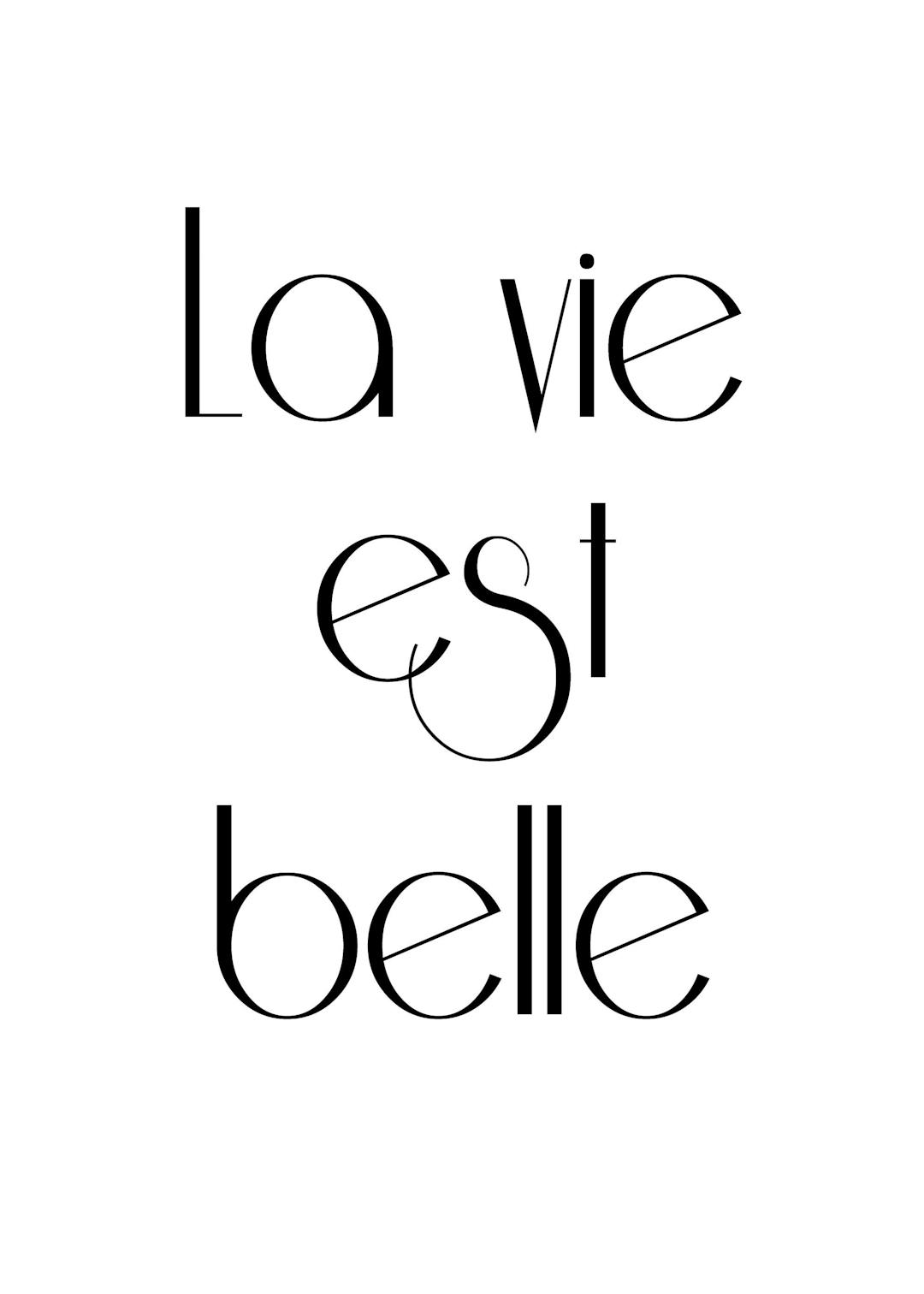 Affiche noir et blanc avec la typographie La vie est belle centrée, un texte simple et élégant.