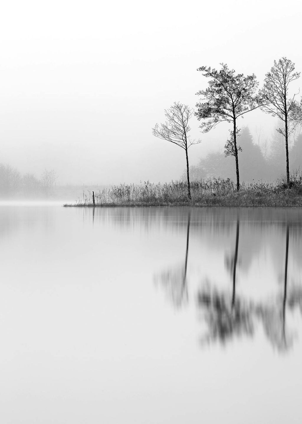 Affiche noir et blanc dun lac brumeux avec des arbres en arrière-plan et leurs reflets sur leau, pour une décoration apaisante.