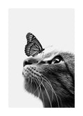 Affiche noir et blanc dun papillon posé sur le nez dun chat, yeux tournés vers le papillon