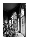 Affiche noir et blanc avec une pièce lumineuse et de grandes fenêtres arquées, des plantes et une bordure blanche.
