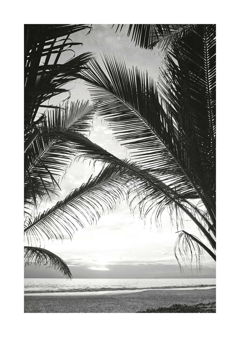 Affiche noir et blanc de feuilles de palmier tropicales encadrant locéan et le ciel.