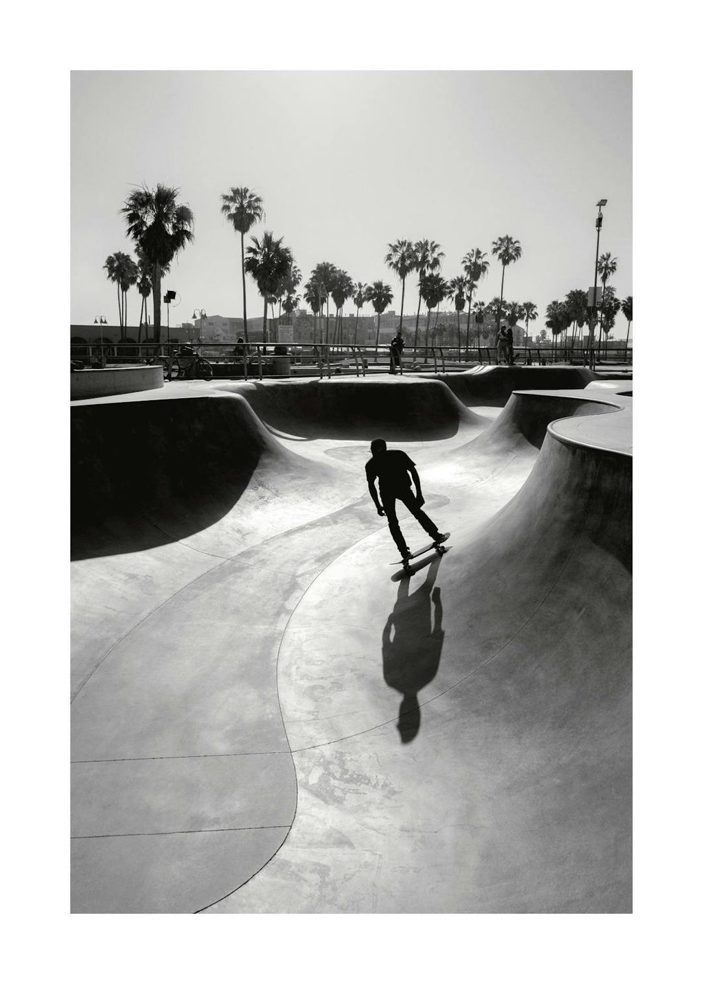 Affiche noir et blanc dun homme faisant du skateboard dans un skatepark avec des palmiers en arrière-plan