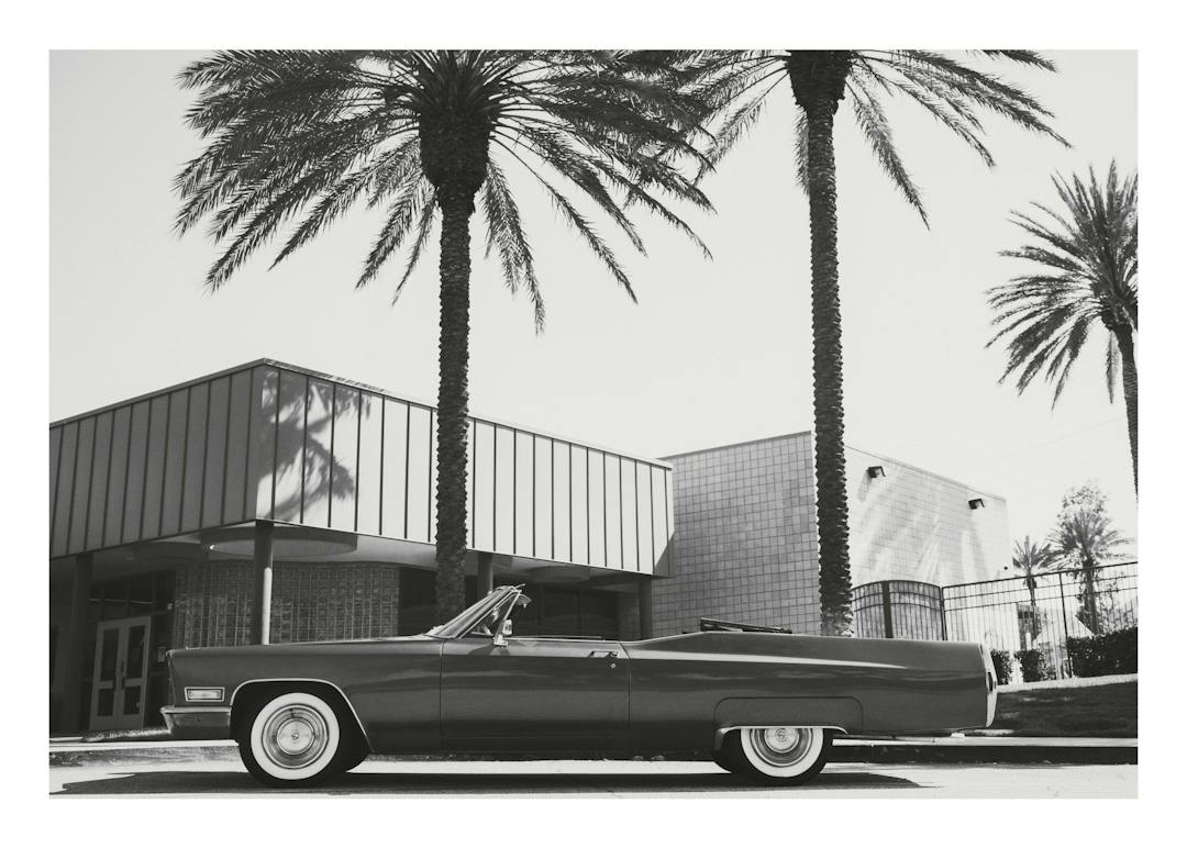 Affiche noir et blanc dune voiture décapotable vintage Cadillac 1968 garée devant des palmiers.