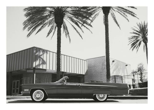 Affiche noir et blanc dune voiture décapotable vintage Cadillac 1968 garée devant des palmiers.
