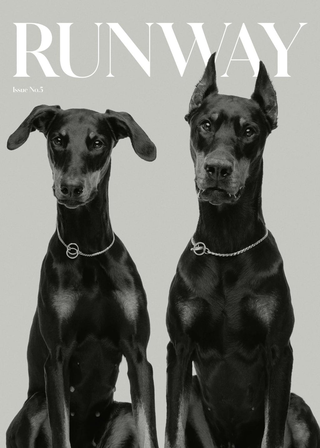 Affiche noir et blanc de deux chiens noirs dobermans portant des colliers, avec le texte Runway et Issue No. 5