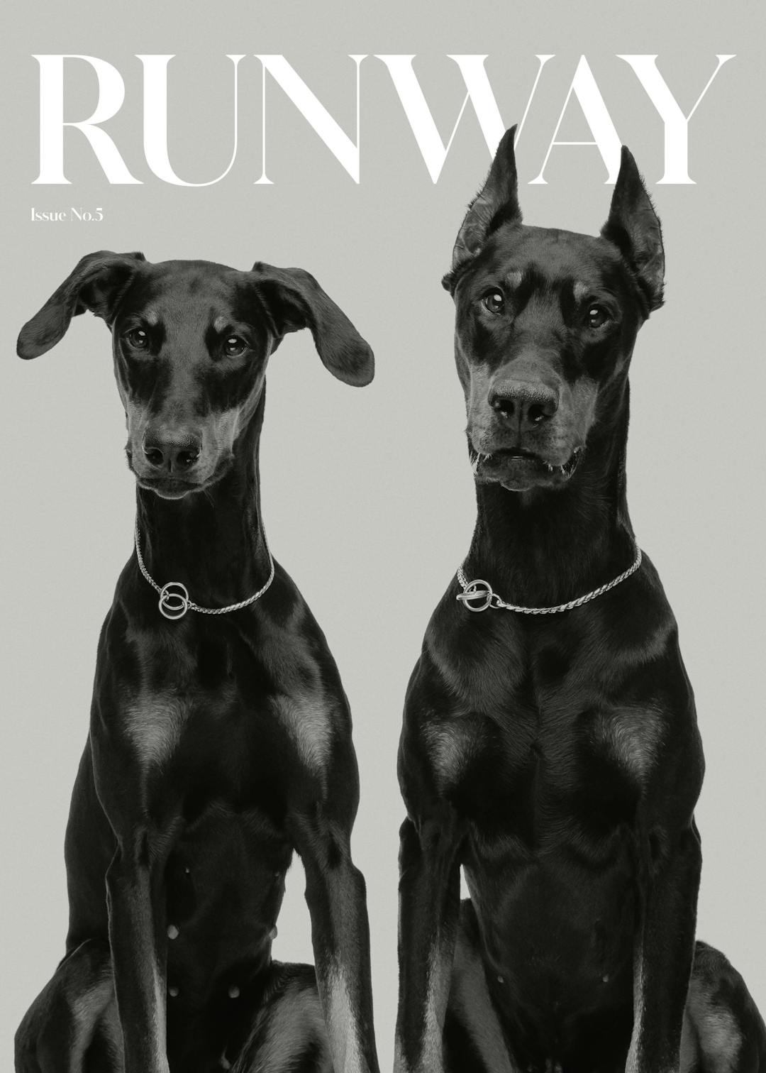 Affiche noir et blanc de deux chiens noirs dobermans portant des colliers, avec le texte Runway et Issue No. 5