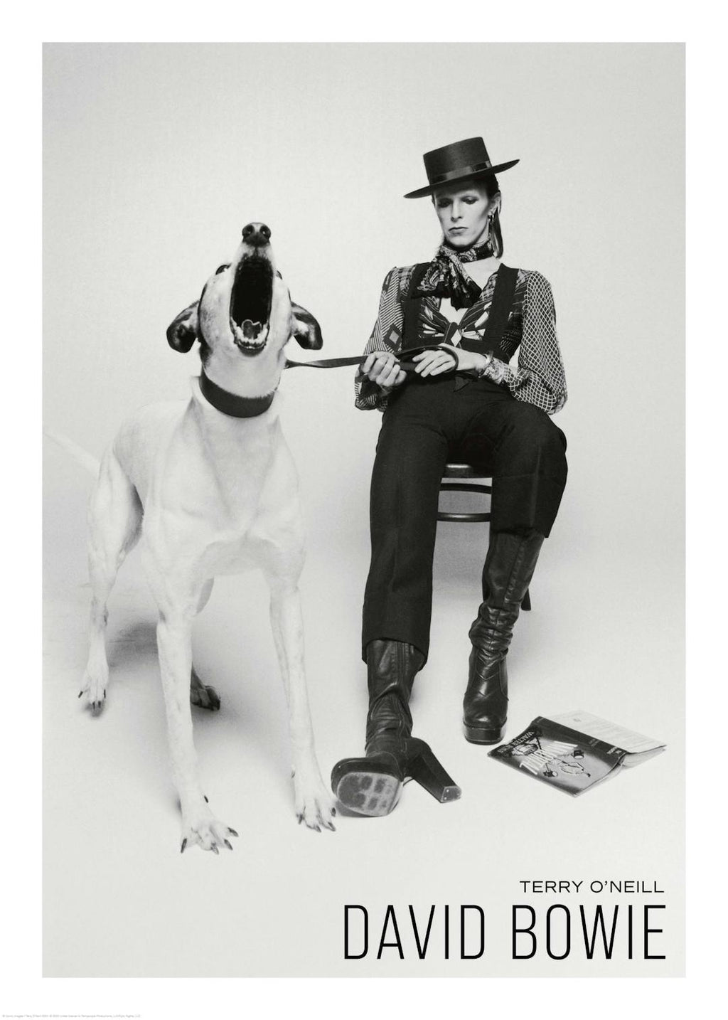 Affiche noir et blanc de David Bowie en tenue de rock star, assis à côté dun chien hurlant, par Terry ONeill.