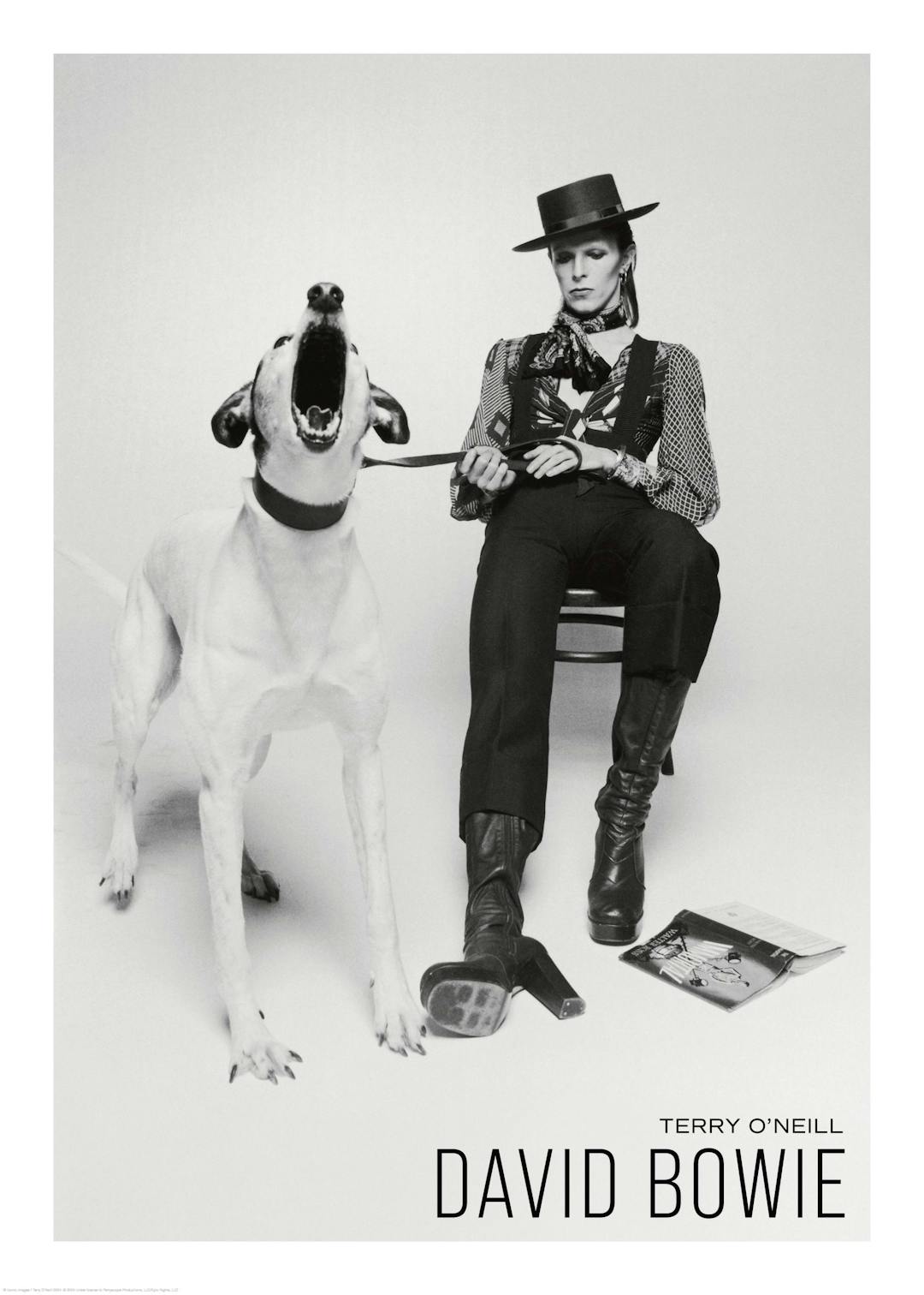 Affiche noir et blanc de David Bowie en tenue de rock star, assis à côté dun chien hurlant, par Terry ONeill.