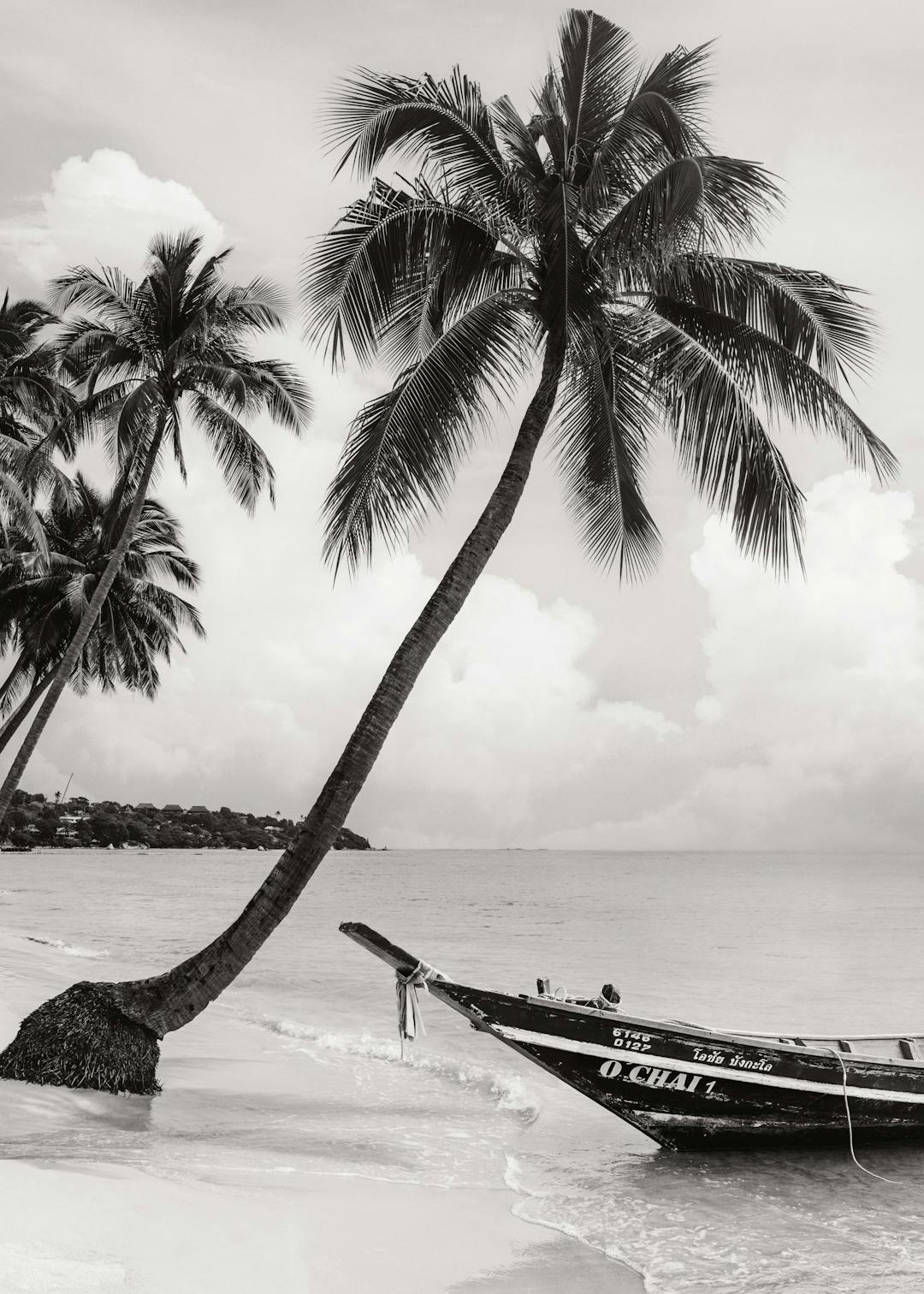 Affiche en noir et blanc dun cocotier courbé sur une plage avec un bateau de pêche en bois et la mer calme.