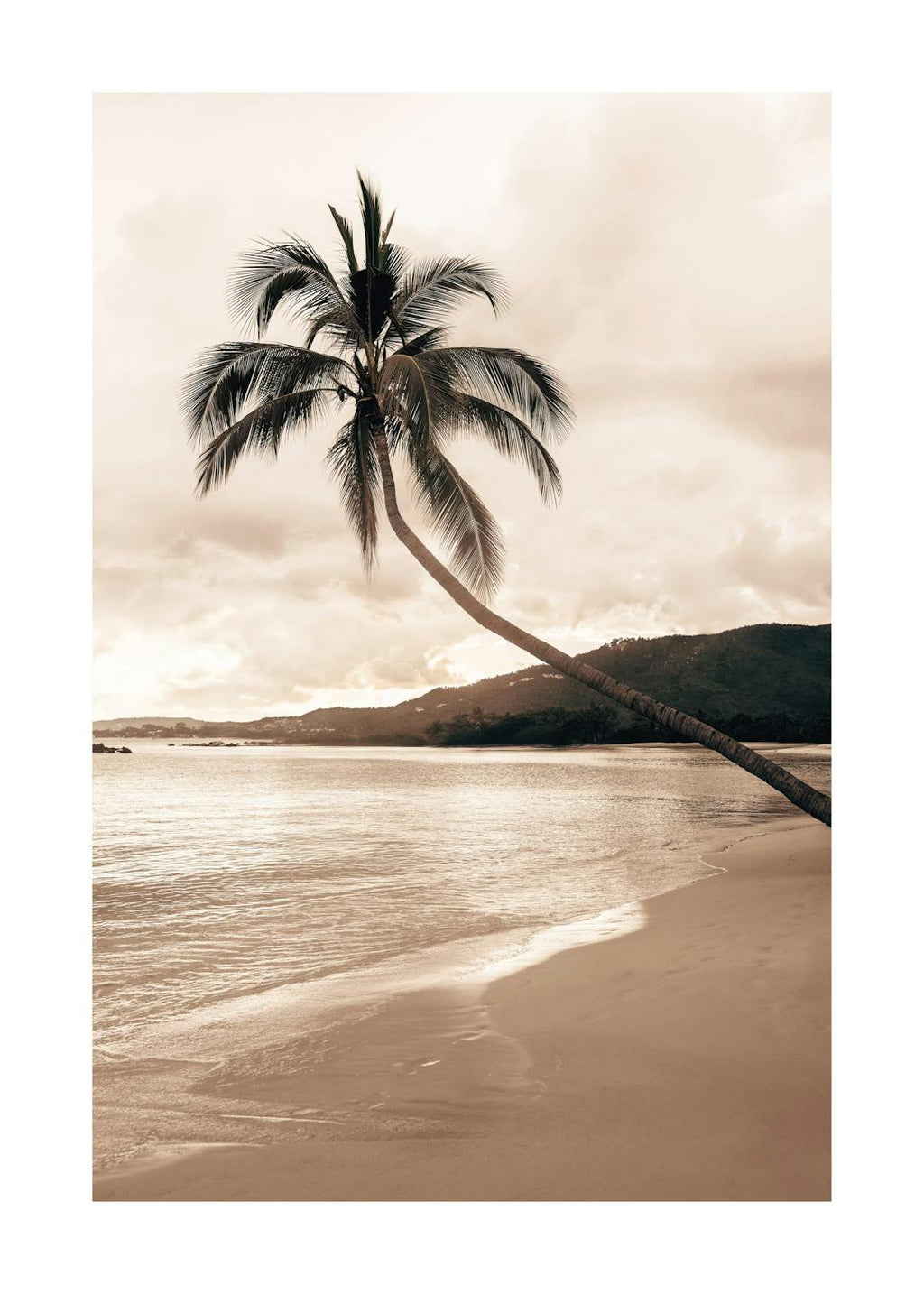 Affiche dun palmier courbé sur une plage de sable, avec des vagues douces et des montagnes en arrière-plan.