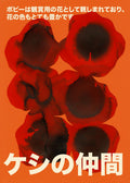 Paper Poppies Affiche