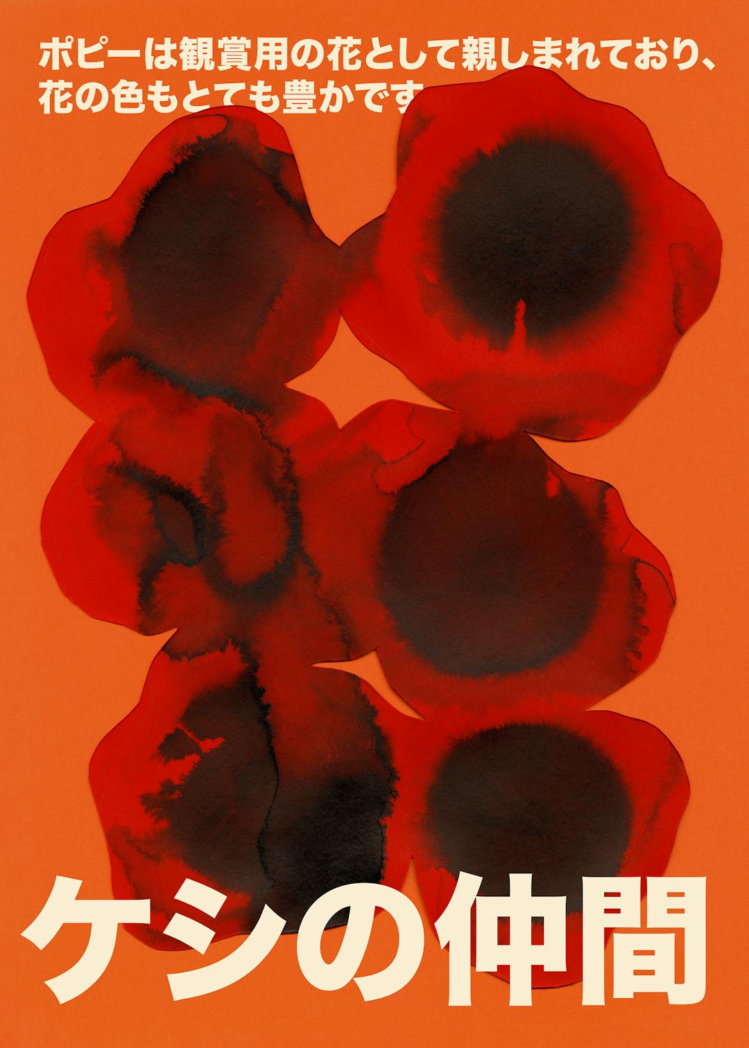 Paper Poppies Affiche