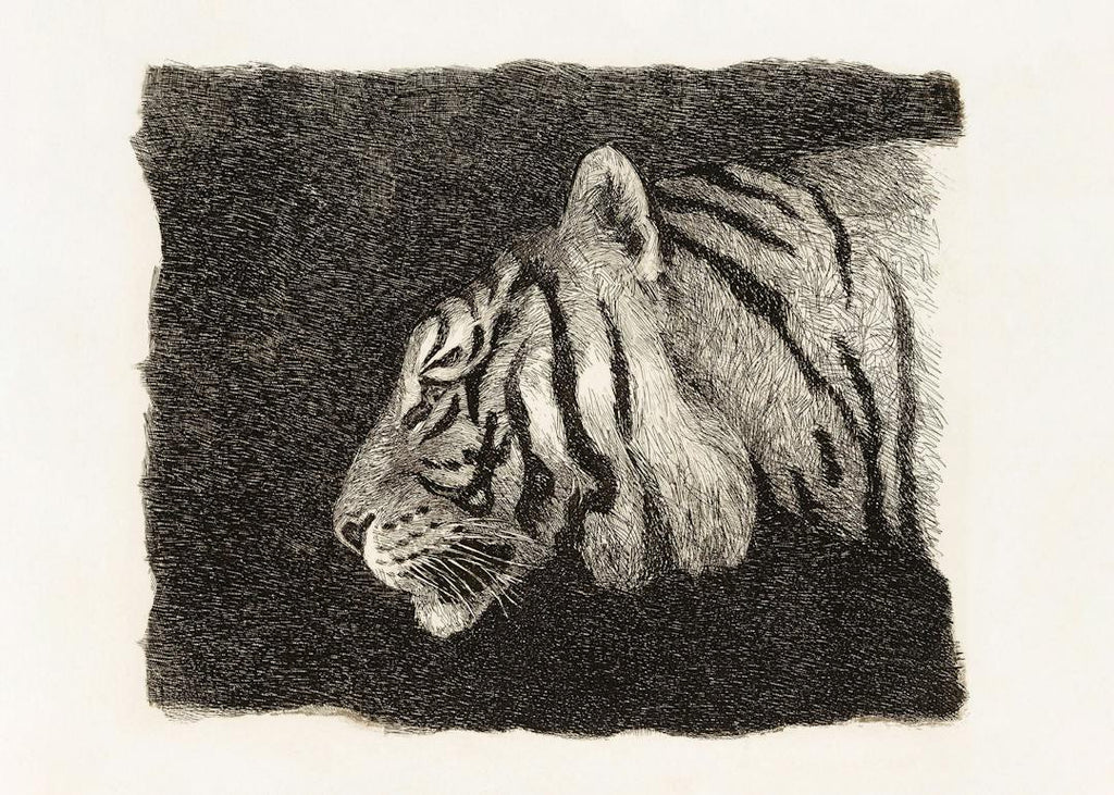 August Le Gras - Tiger Affiche