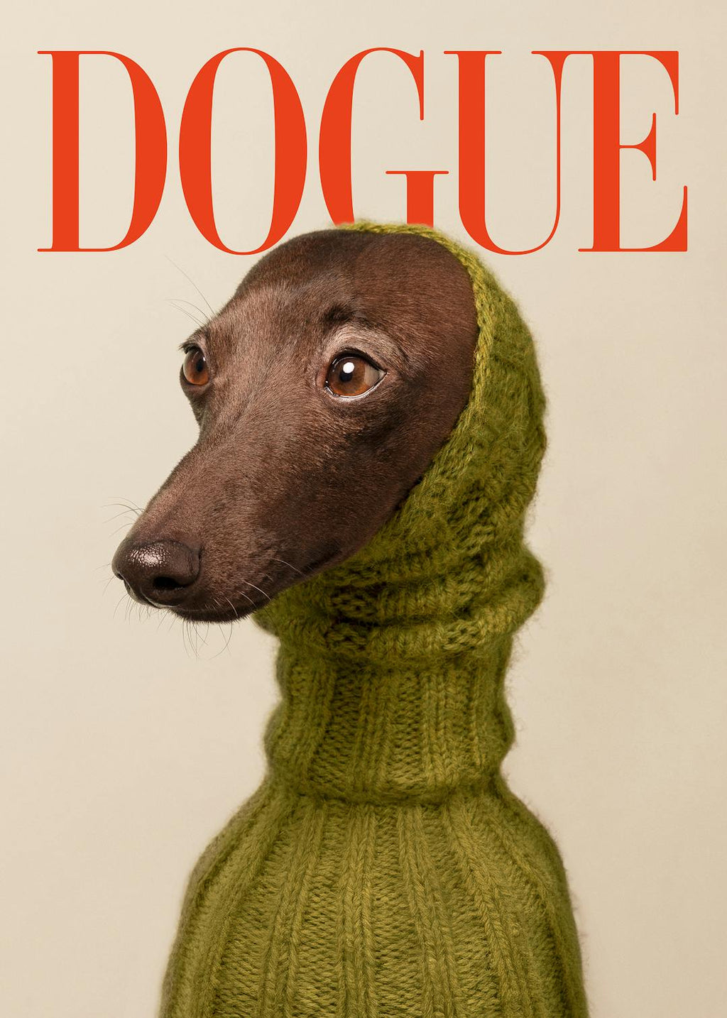 Dogue No2 Affiche
