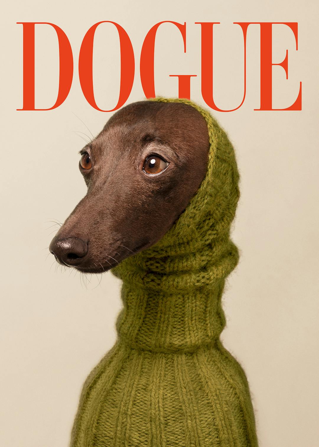 Dogue No2 Affiche