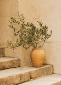 Summer Still Life Affiche