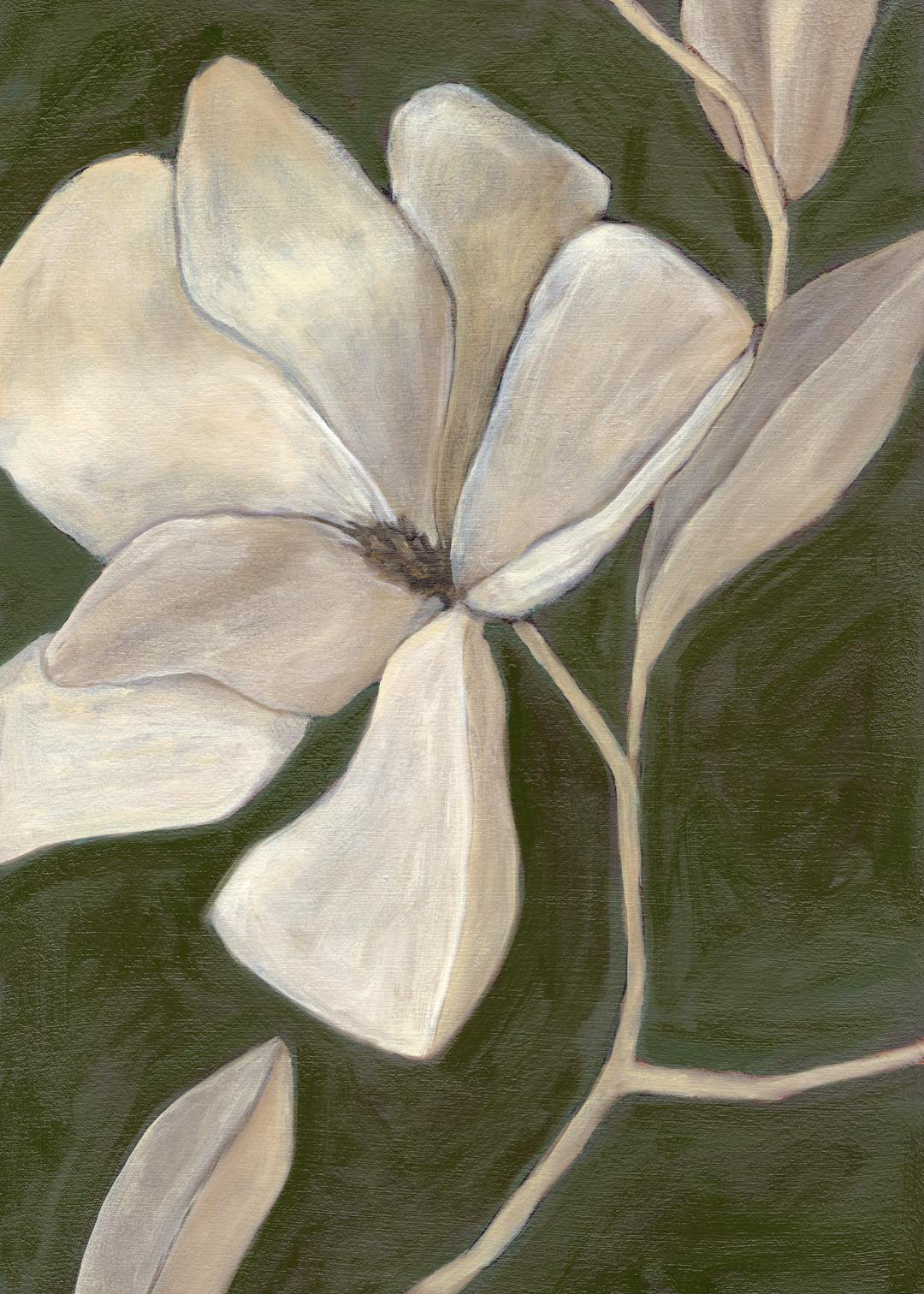 Magnolia Study Affiche